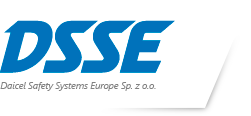 dsse-logo